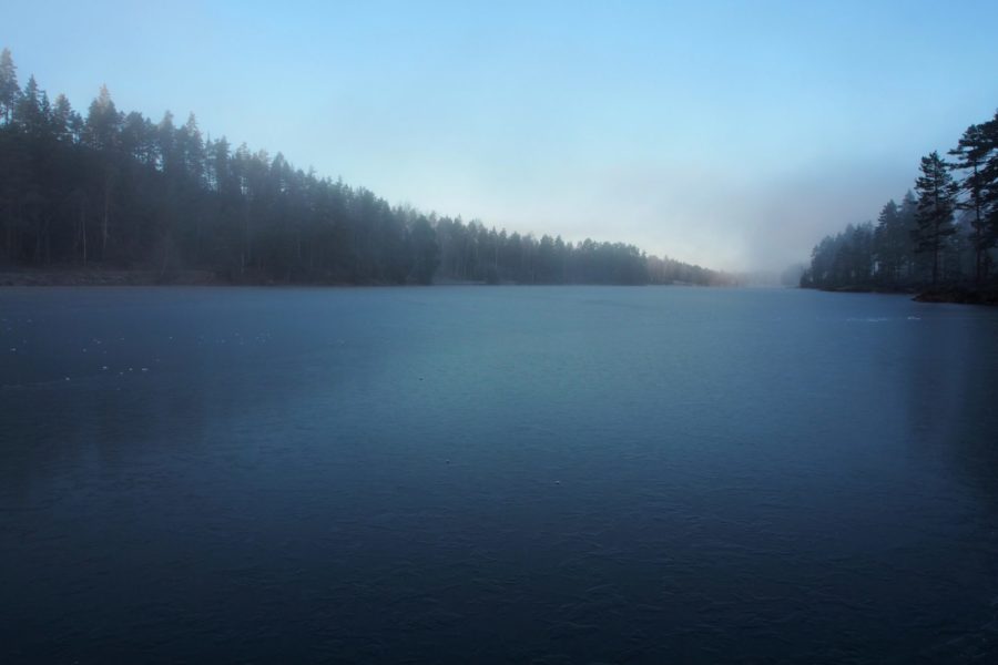 Misty blue morning